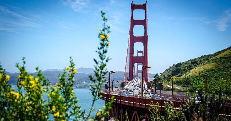 Summertime in the City Best Places to Swim in San Francisco