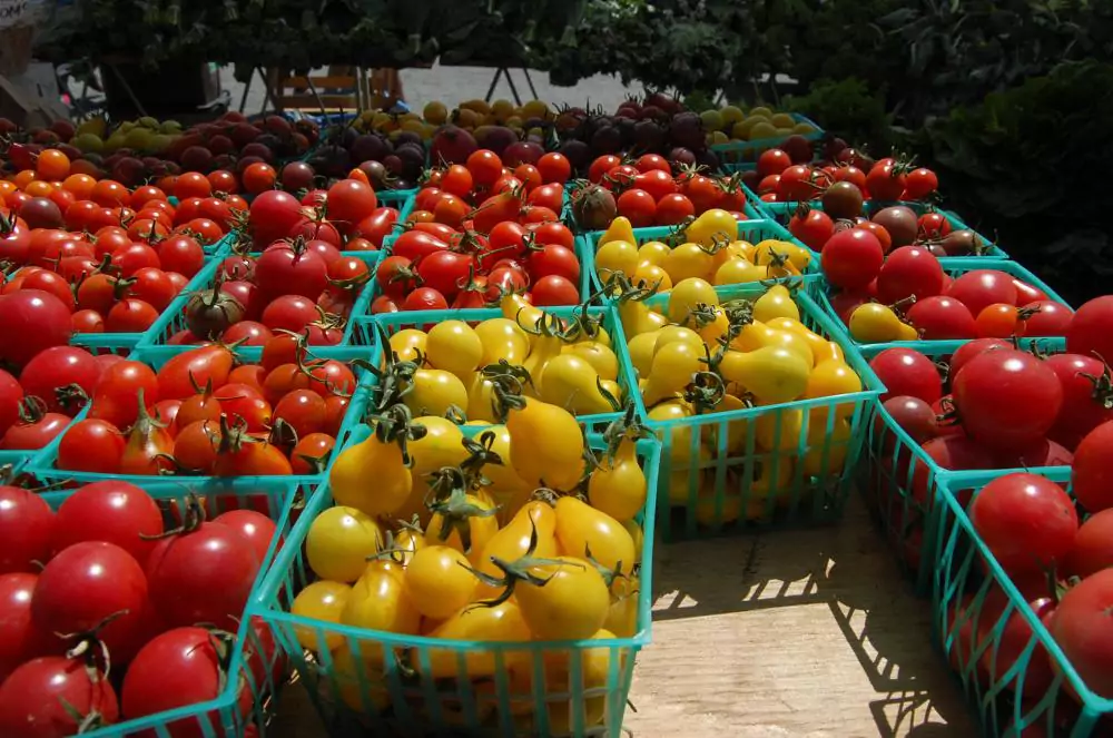 Fresh Tomatoes and Produce at Alemany Farmers Market in Bernal Heights