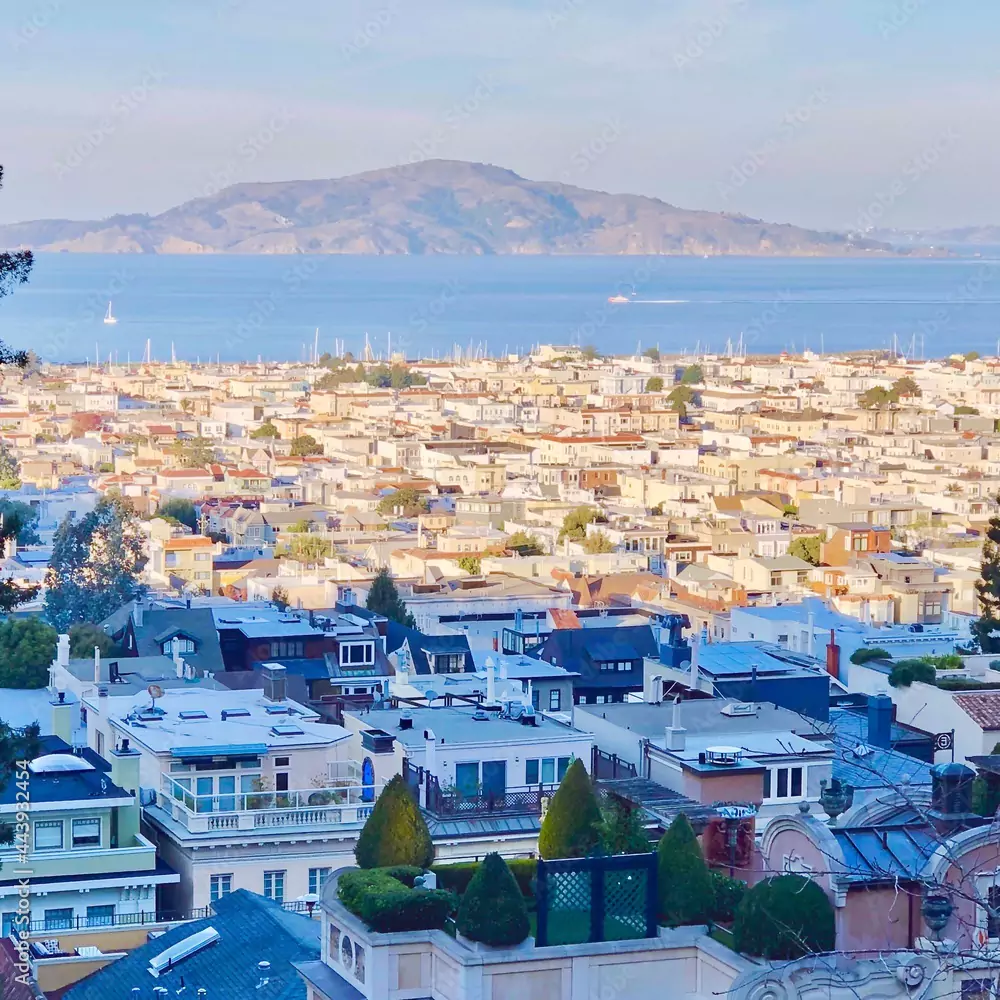 Panoramic City Views of San Francisco from Alta Plaza Park Hill Peak