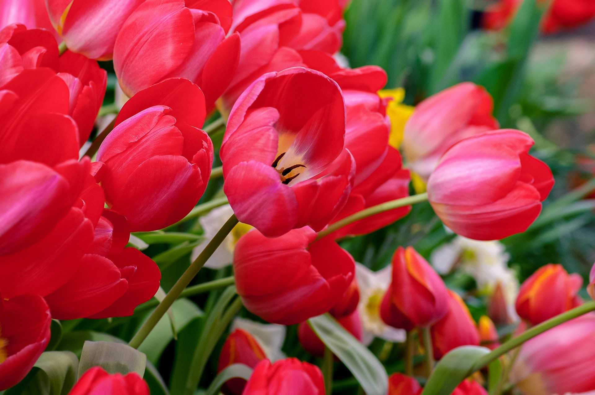 2025 Spring Events in Bernal Heights You Can&rsquo;t Miss