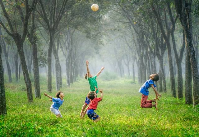 Children joyfully playing with a ball in a lush green field surrounded by tall trees on a misty day.