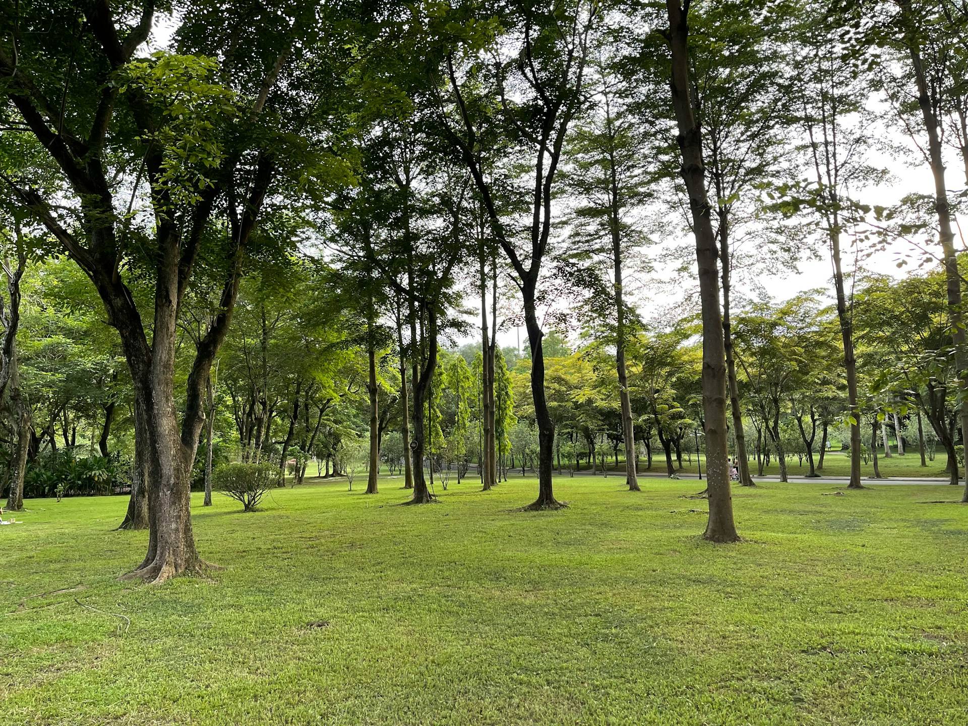 Nature Spots Locals Love in Mission Dolores
