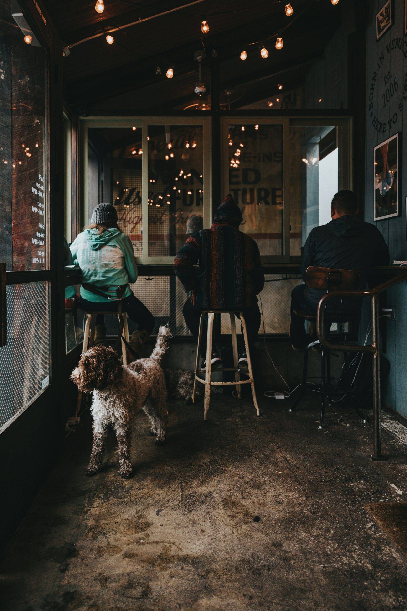 Where to Find Dog Friendly Cafes in Mission Dolores in 2026